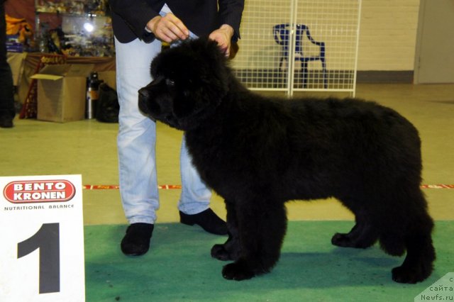 Фотография № 60079