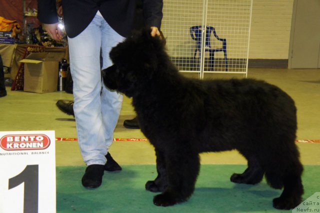 Фотография № 60080