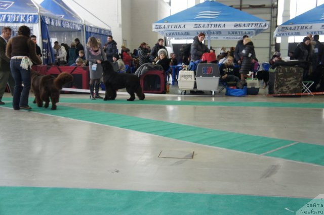 Фотография № 60082