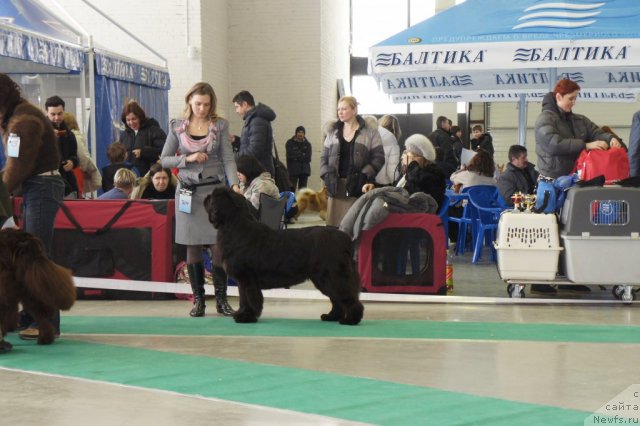 Фотография № 60083