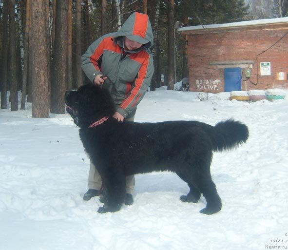 Фотография № 60089