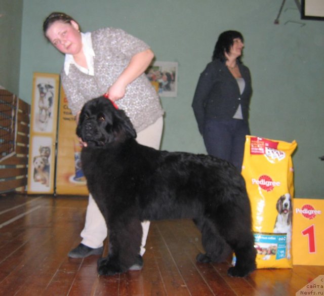 Фотография № 60090