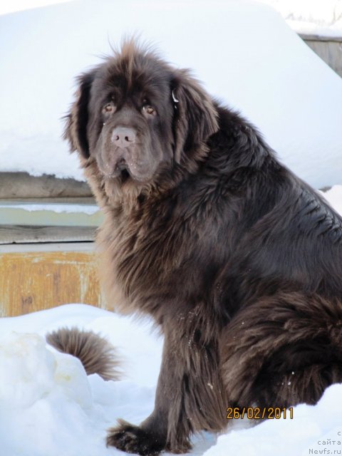 Фотография № 60092