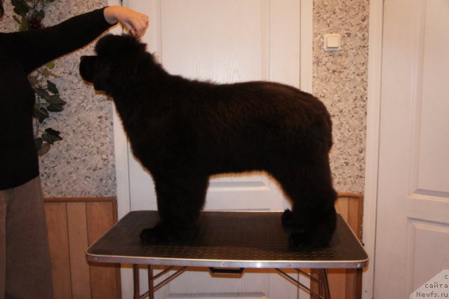 Фотография № 60099