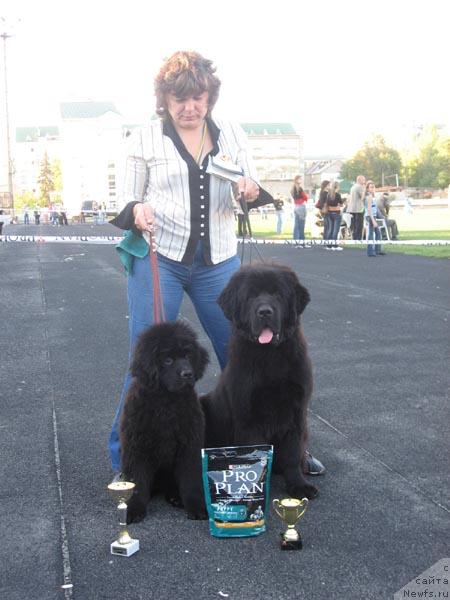 Фото: ньюфаундленд Кингова Дочь с Берега Дона (Kingova Doch s Berega Dona), ньюфаундленд Винчес из Медвежьего Яра для Берега Дона (Vinces iz Medvejyego Yara Dlja Berega Dona), Наталья Татаринова