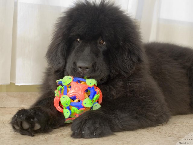 Фото: Ксения Гринько