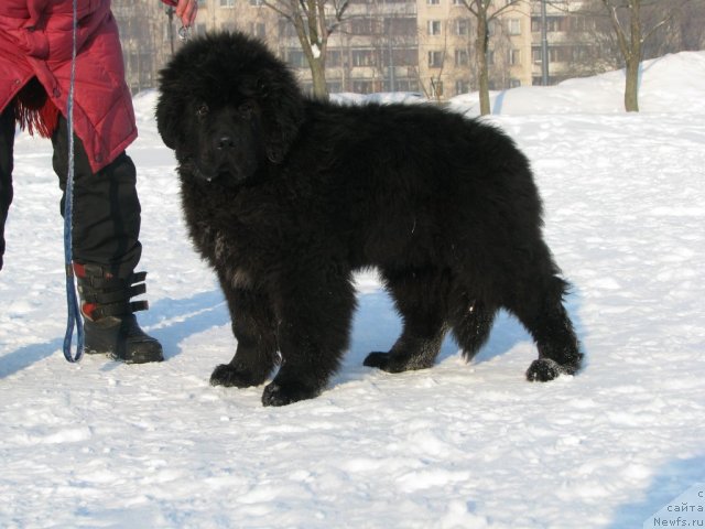 Фотография № 60157