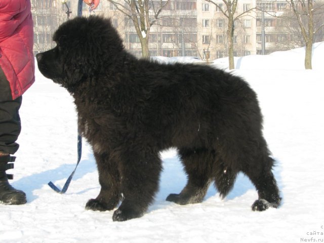 Фотография № 60158