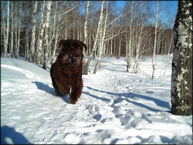 Фотография № 60172