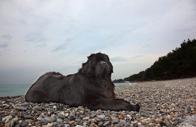 Фотография № 60199