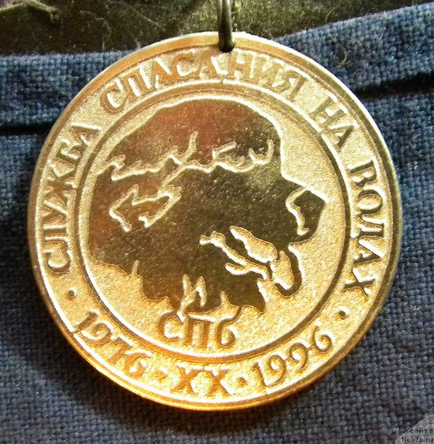 Фото: ньюфаундленд Хэйли