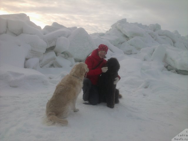 Фотография № 60254