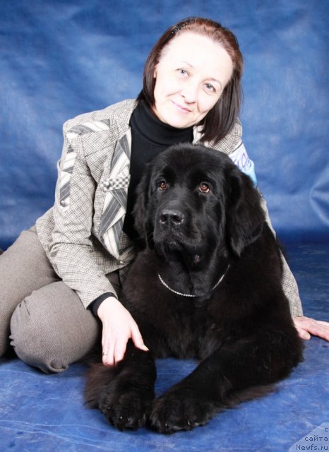 Фото: Ольга Королева, ньюфаундленд Бегущая по Волнам Харизма (Beguschaya po Volnam Harizma)