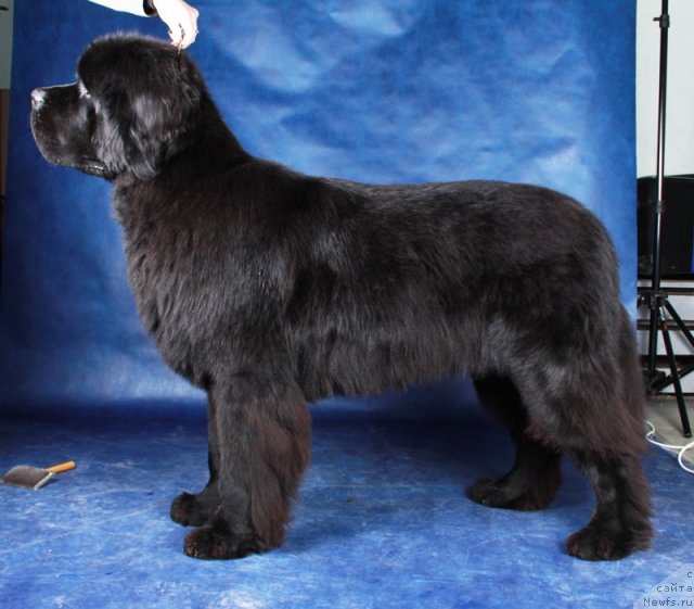 Фотография № 60258