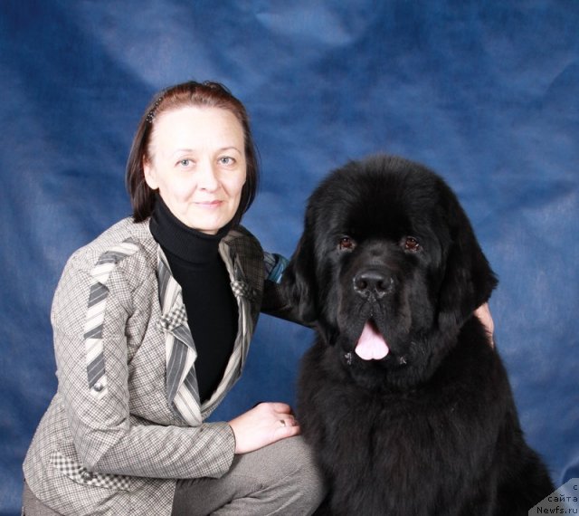 Фото: Ольга Королева, ньюфаундленд Бегущая по Волнам Сун ин Му Ханд (Beguschaya po Volnam Sun in My Hand)