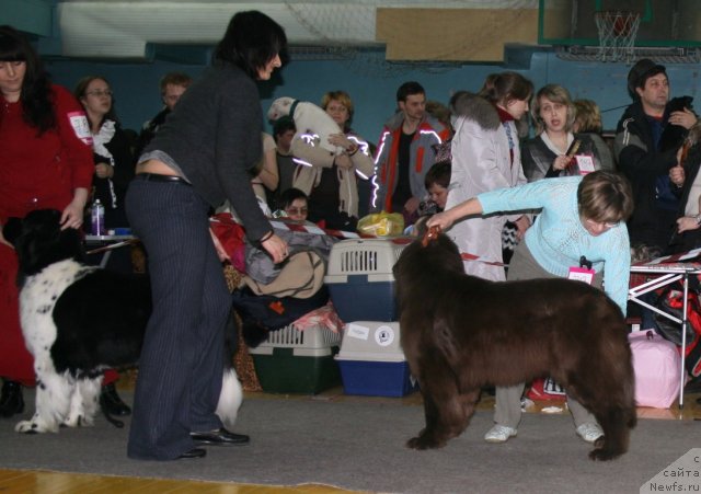 Фотография № 60269