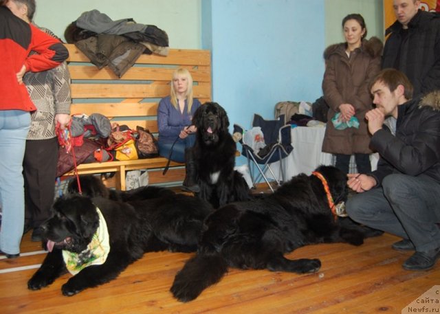 Фотография № 60272