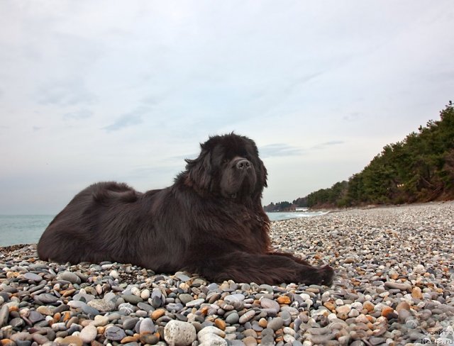 Фотография № 60276