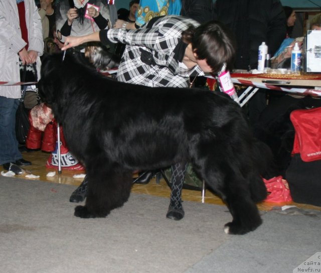 Фотография № 60285