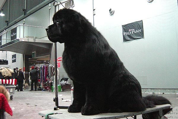 Фотография № 60301