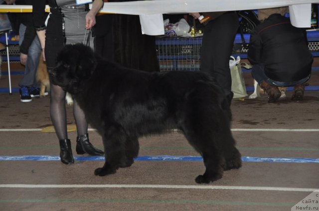 Фотография № 60307