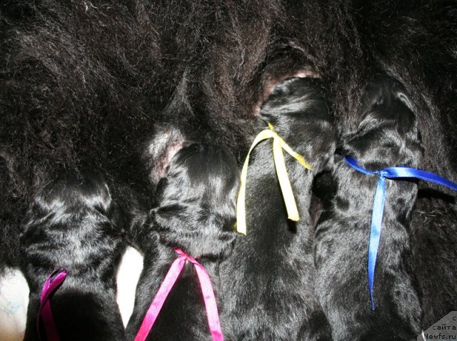 Фотография № 60313