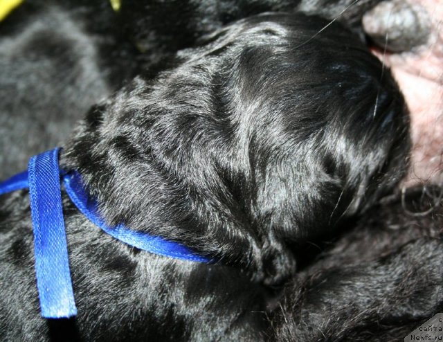 Фотография № 60314