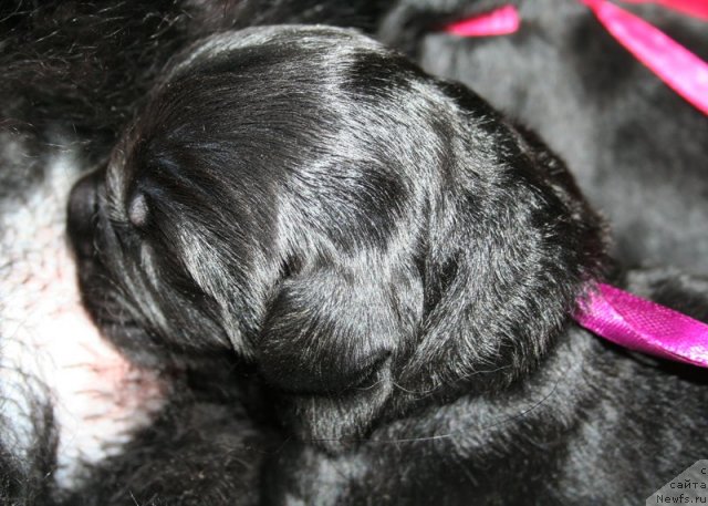 Фотография № 60317