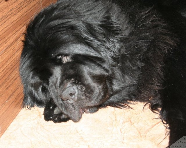 Фотография № 60319