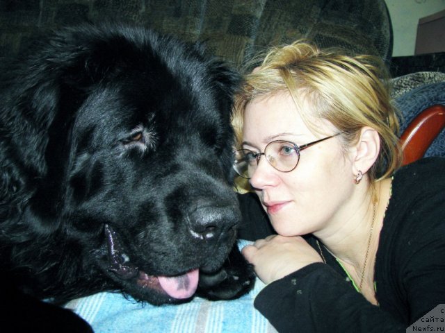 Фотография № 60327