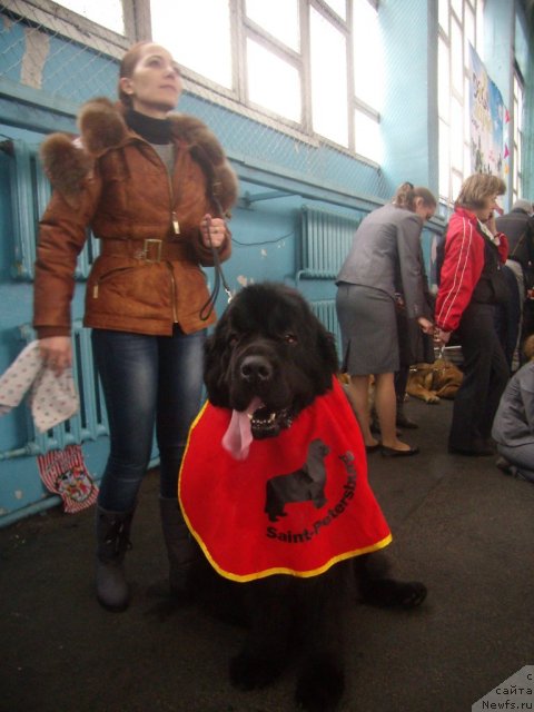 Фотография № 60348