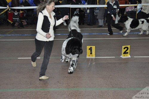 Фотография № 60363