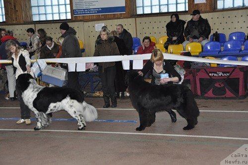 Фотография № 60364