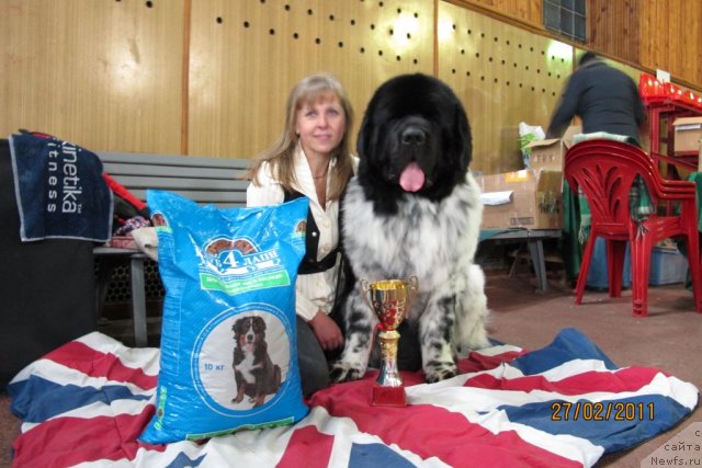 Фотография № 60371