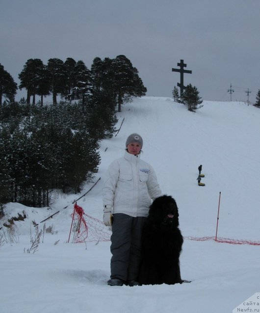 Фото: ньюфаундленд Иван Царевич из Тихого Омута (Ivan Tsarevich iz Tihogo Omuta), Ирина Чистякова