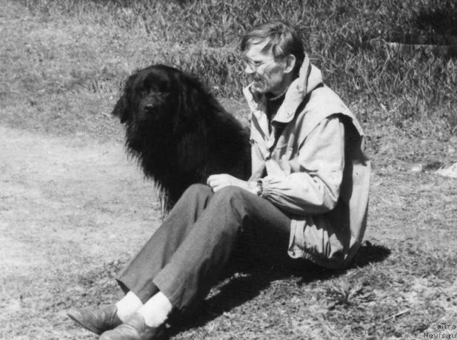 Фото: ньюфаундленд Эльлор Лоренс