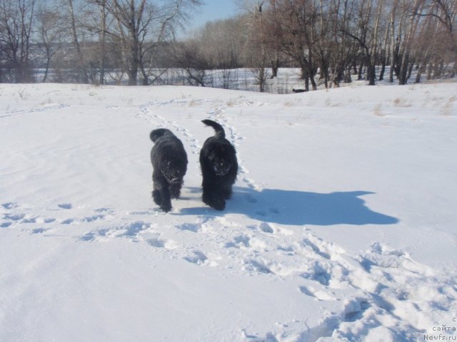 Фотография № 60414