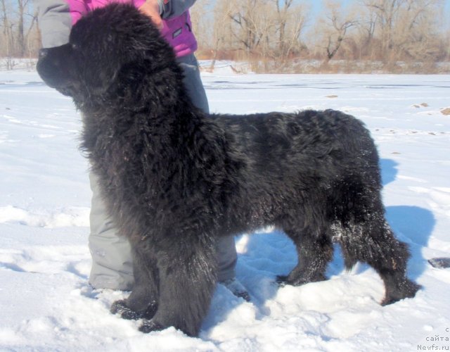 Фотография № 60419