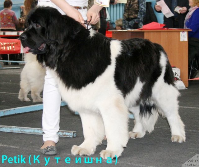 Фотография № 60427