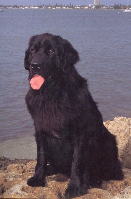 Фотография № 60441