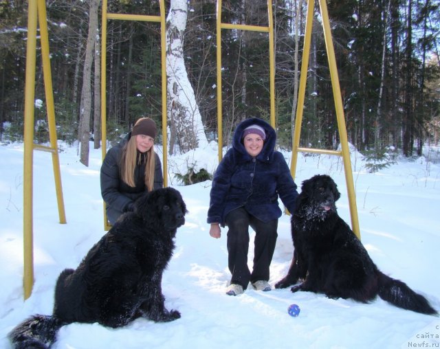 Фото: ньюфаундленд Колдовская Любовь, ньюфаундленд Супер Бизон Дека, Екатерина Жиронкина, Алёна Щелконогова