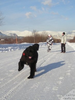 Фотография № 60548