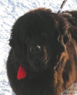 Фотография № 60549