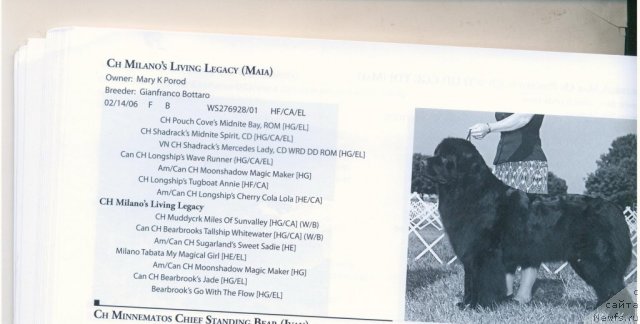 Фотография № 60570