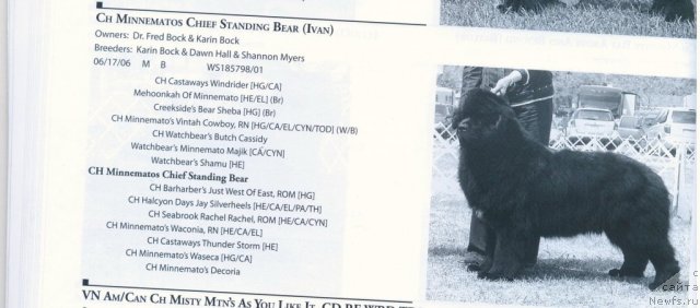 Фотография № 60571