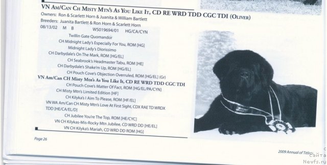 Фотография № 60572