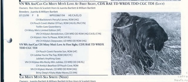 Фотография № 60574