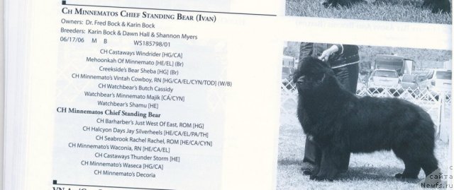 Фотография № 60577