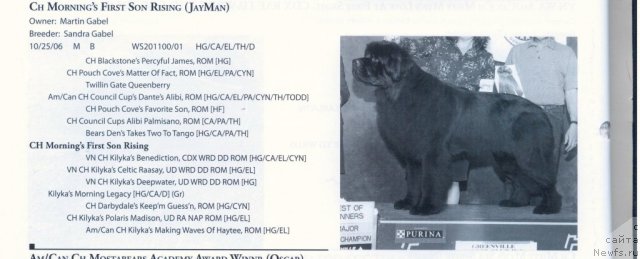 Фотография № 60580