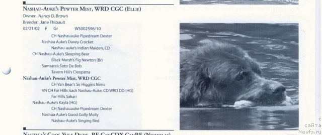 Фотография № 60583